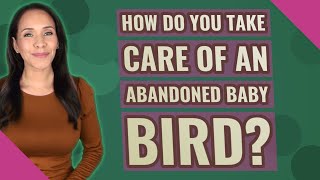 How do you take care of an abandoned baby bird?