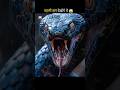 The Deadly Snake You See for the First Time (It's on an Old Phone ?🤯😱