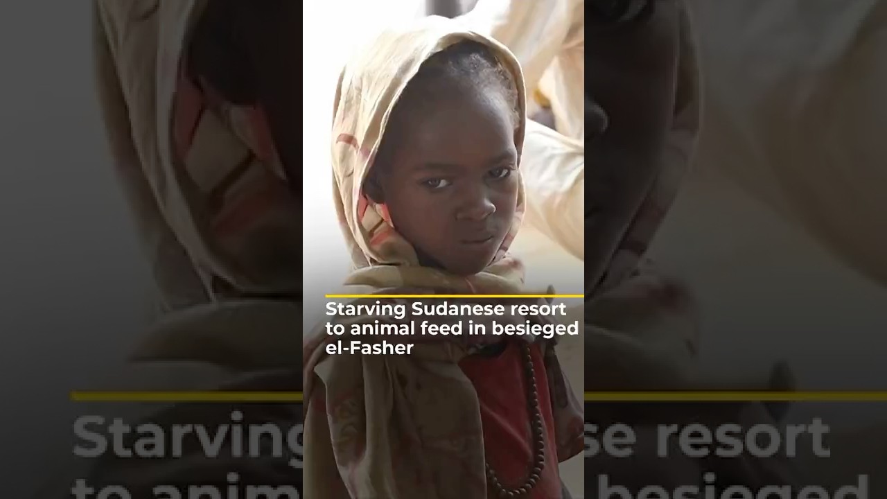 يلجأ السودانيون الجائعون إلى علف الحيوانات في الفاشر المحاصرة | AJ #shorts