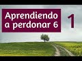 31) Seminario de Sanación Interior "Aprendiendo a Perdonar 6" Gabriel Rinaudo y Pablo Collazo