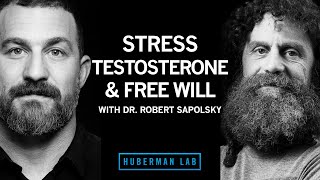 Dr. Robert Sapolsky: Science of Stress, Testosterone \& Free Will