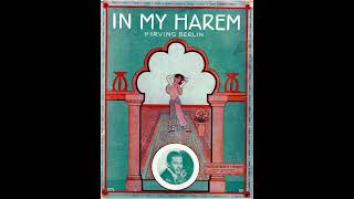 In My Harem (1913)