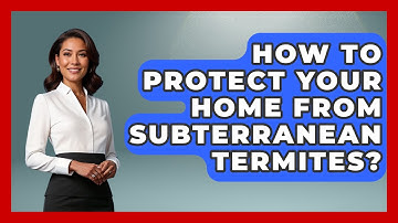 How To Protect Your Home From Subterranean Termites? - Insects and Invaders