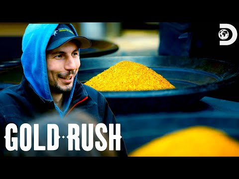 Parker Counts His Total Gold for the Season | Gold Rush