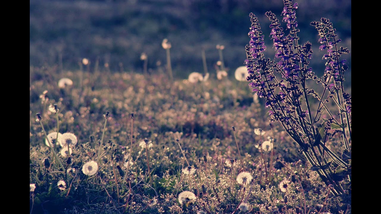 David Wikander: Förvarskväll (Canta Nova Saar/Bernhard Schmidt, Leitung)