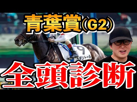 【青葉賞2024予想】ナメられている穴馬。ダービー馬級の実力馬を大公開。