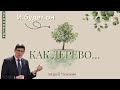 И будет он как дерево  🌳  Андрей Чумакин 📖 Псалом 1:3