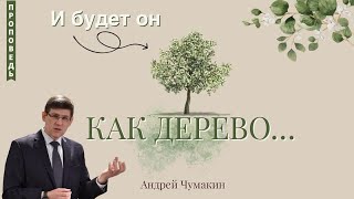 И будет он как дерево 🌳 Андрей Чумакин 📖 Псалом 1:3