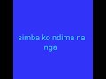 Simba Ko Ndima Nangai Interprétation