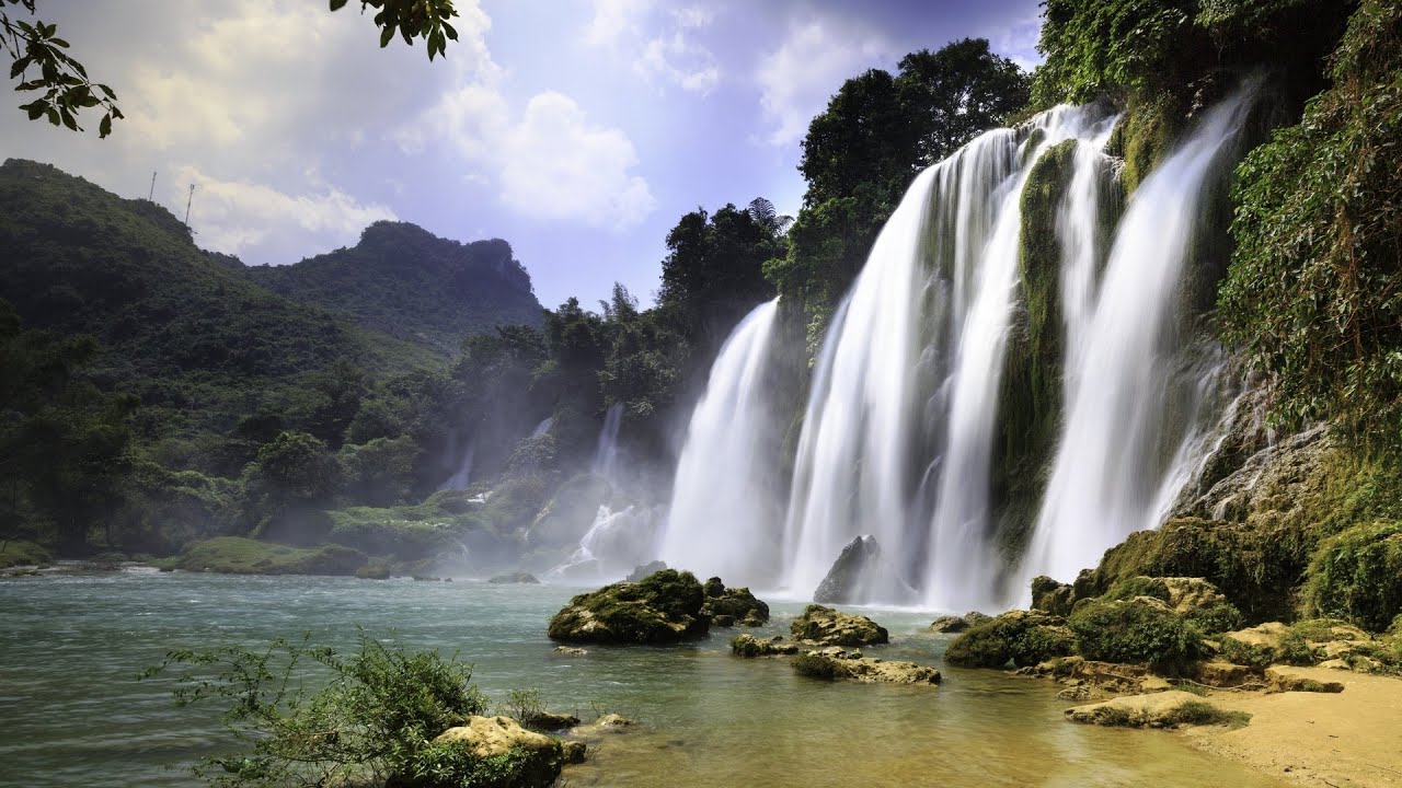 Peaceful Rain Ambience 🌿|Relaxing Background • LIVE
🌧️집중 |☔专注向|