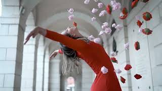 Amazing Earth Best Of Dolby Vision 12K Hdr 120 Fps 4K8K Tv