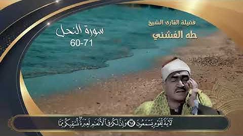 تلاوة مرتلة جميلة 💜سورة النحل من الأية ( 60 - 71) الشيخ | طه الفشنى