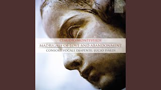 Toccata arpeggiata for lute screenshot 4