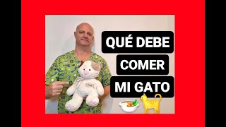 ¿Qué debe comer mi gato?