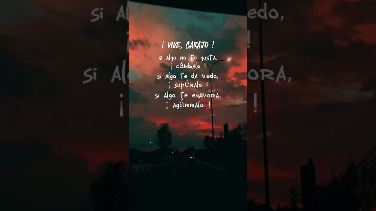 ¡vive la vida carajo!                               