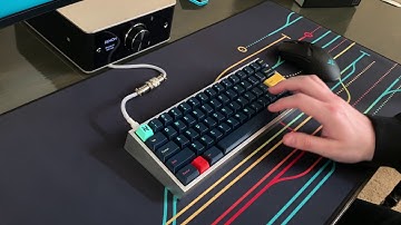 YOK Holy Trash Pandas Sound Test