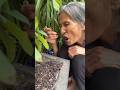 Grandmother Noo ЁЯШнЁЯШн Shorts Youtubeshorts Grandmother Noo ЁЯШнЁЯШн Shorts Youtubeshorts