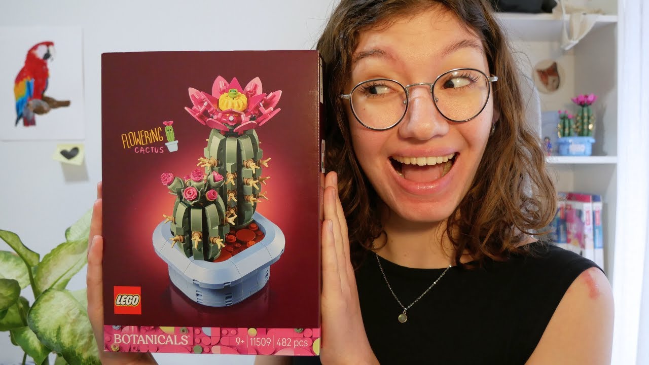 On construit le LEGO Cactus ensemble 🌵 | Construction chill