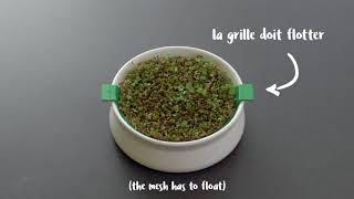 Tuto Coupelle de germination - Germline