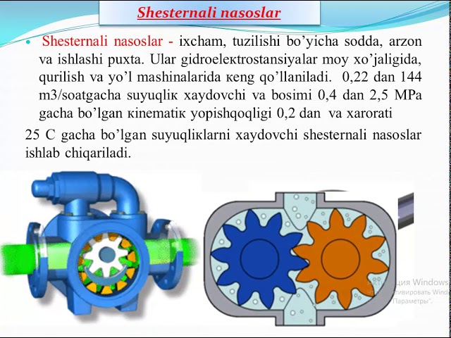 Sevgi va jinsiy aloqa
