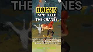 Can't Feed All 3 Cranes In Luyang Academy? IT IS NOT A BUG  #genshinimpact #genshinshorts #genshin Details