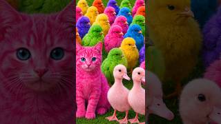 Tangkap Ayam Lucu, ayam warna warni, ayam rainbow, kelinci lucu, bebek lucu, ikan koi, Hewan Lucu