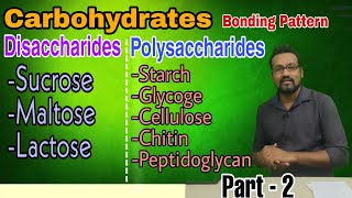Lecture-11(P2)| CARBOHYDRATES | Storage & Structural Polysaccharides BONDING PATTERN Detail Examples
