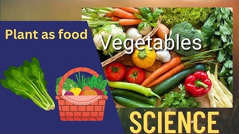 7th science Bridge course module Plant as food - English and Tamil medium