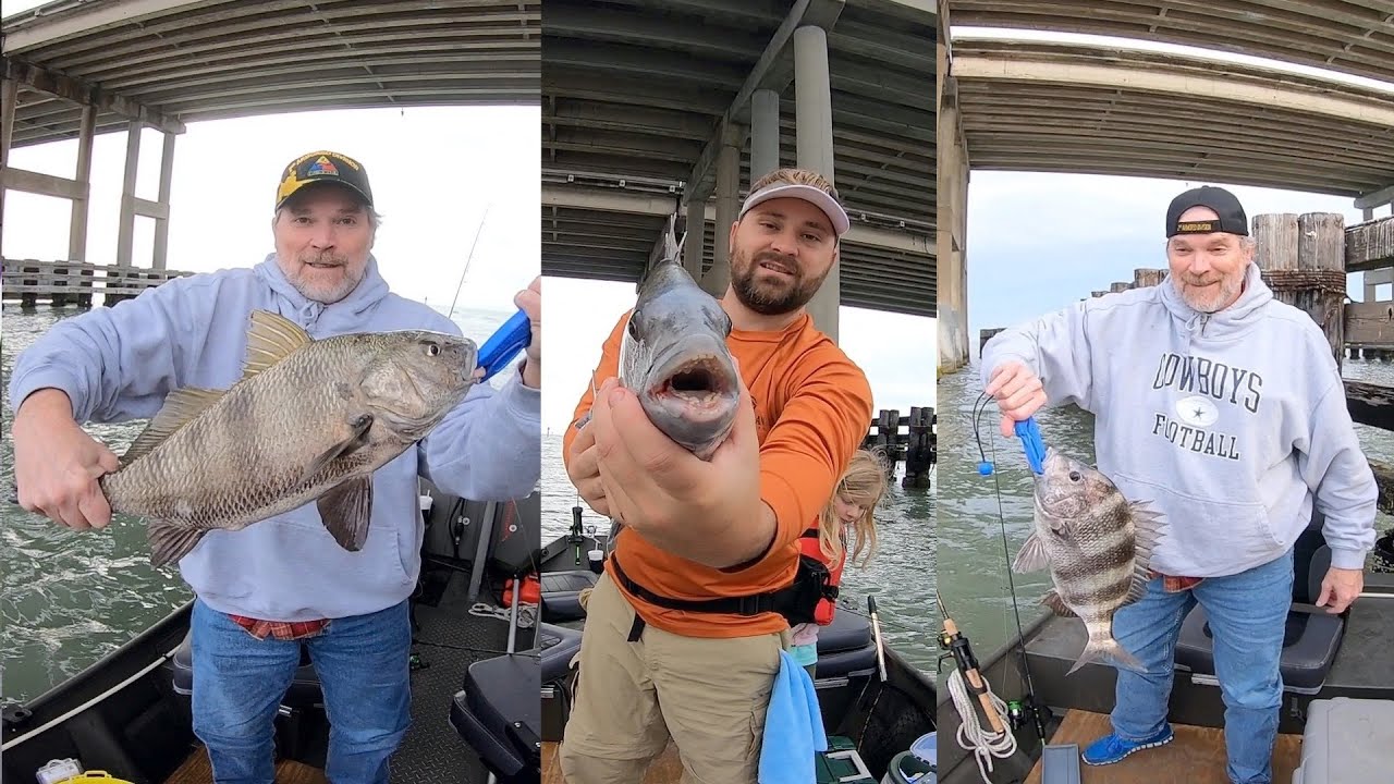 Fishing for Sheepshead Black drum & Trout in the Corpus Christi