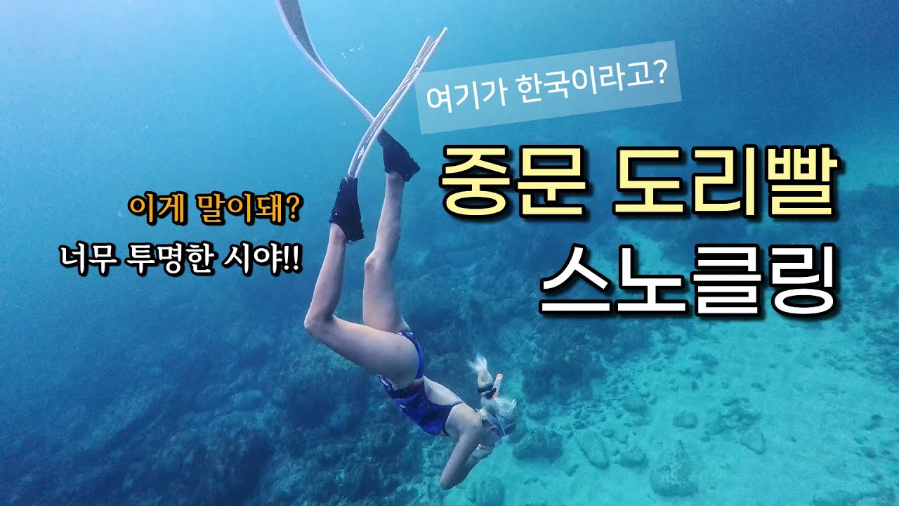 🐠중문 도리빨 제주스노클링 (ft.야간 프리다이빙)