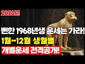 월별 비결 2026년 1968년생 원숭이띠 신년운세 병오년 대박 터지는 생월이 따로 있다 I 토정비결 월별 총정리 