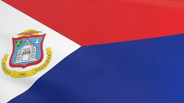 Flag of St Martin waving in the wind - Flag animation - Motion background - 4K UHD