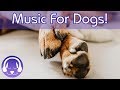 Music for Dogs! Calming Music for Restless Dogs! Soothe Your Dog and Help them Sleep with this Music