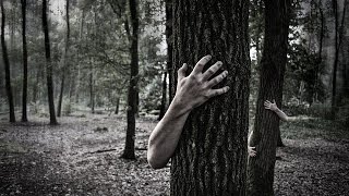 Похождение Евгения в лесу. Музыка из фильма Телемертвецы Похождение Евгения в лесу. Музыка из фильма Телемертвецы