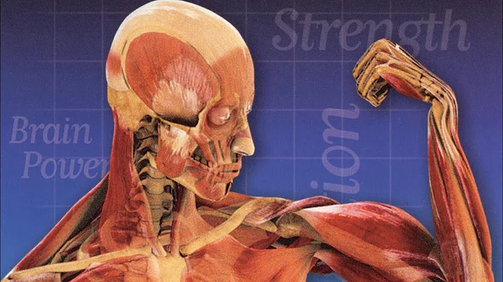 Human Body Pushing The Limits  #humanity #body #limits #discovery