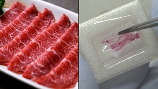 Would You Eat 3D-Printed Meat?