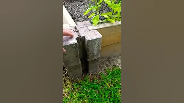 cheap easy planter item from Lowes #shorts #gardening #diy