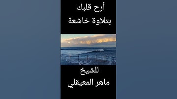 ماتيسر من سورة التوبة #quran #القرآن_الكريم #راحة_نفسية #صلاة_التراويح