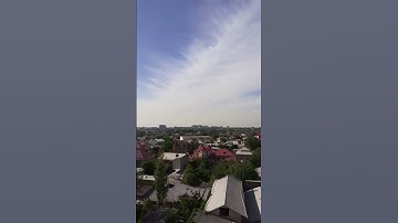 Spring vibes #shorts #shortsvideo #spring #vibes #2024 #spring2024 #fyp