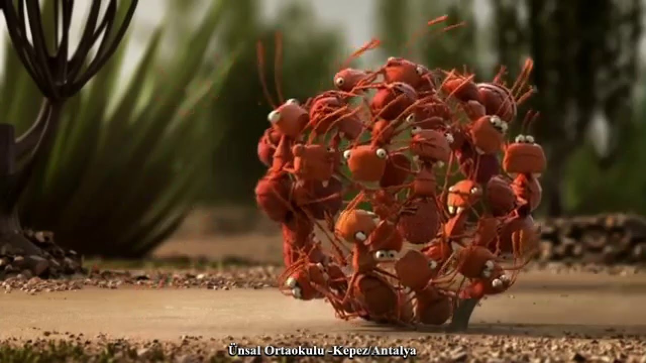 Değerler Eğitimi: İyilik ve Yardımseverlik