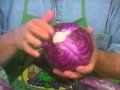 Acme Cabbage Tip Of The Day And Promos (October 4, 1994)