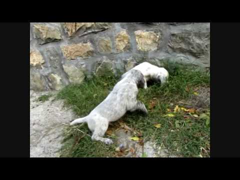 Montenegro Sutomore / Черногория DAY 10 part 1