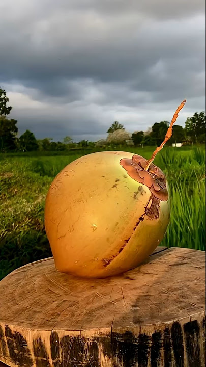 Bunglons ingcridble coco peeling😱‼️#cuttingskills #satisfying #coconut #asmr #shortvideo