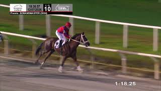 Vidéo de la course PMU PRIX SOBANDMASTER (2024)