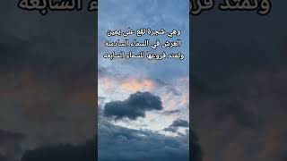 ماهي سدرة المنتهى؟