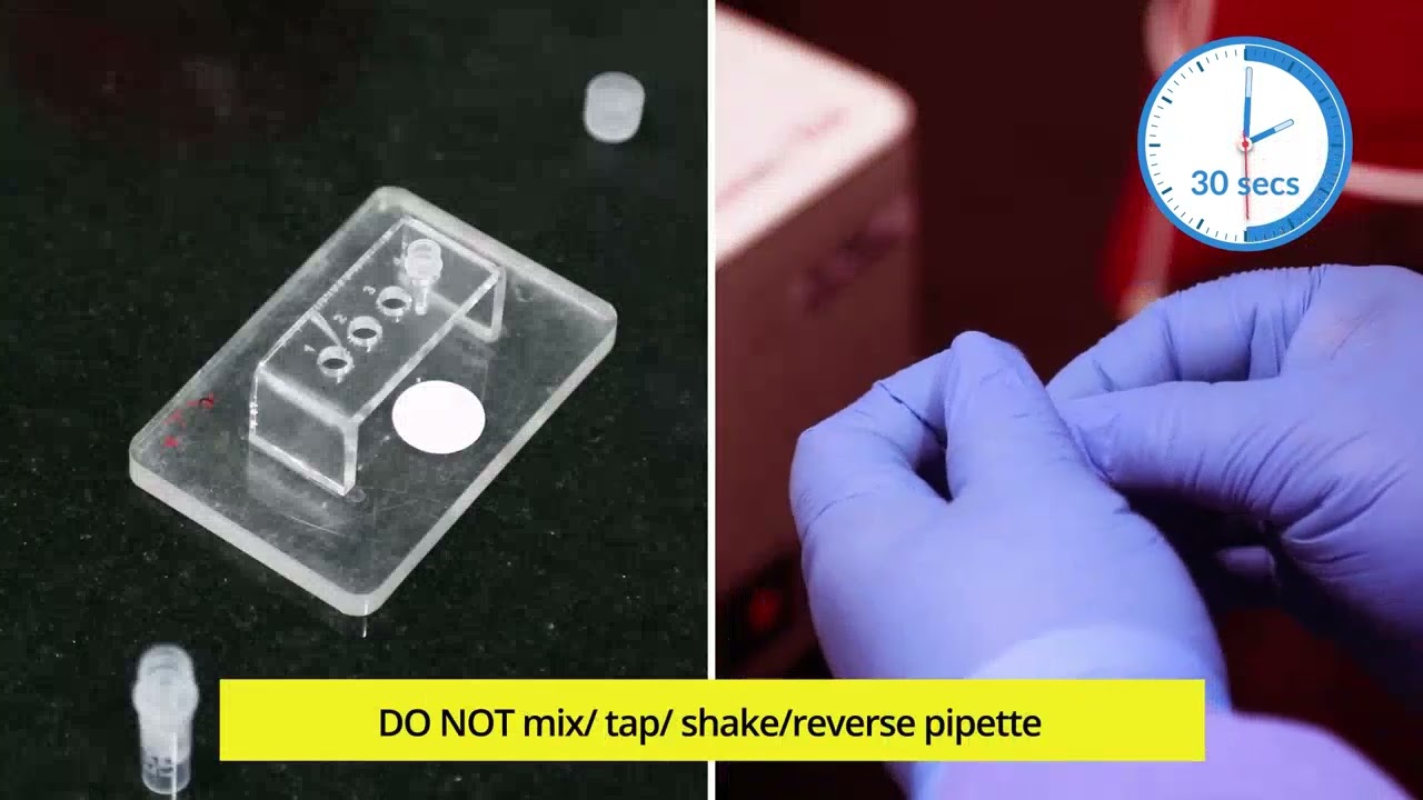 Truenat Video 6 - MTB Test loading the Elute on MTB Chip