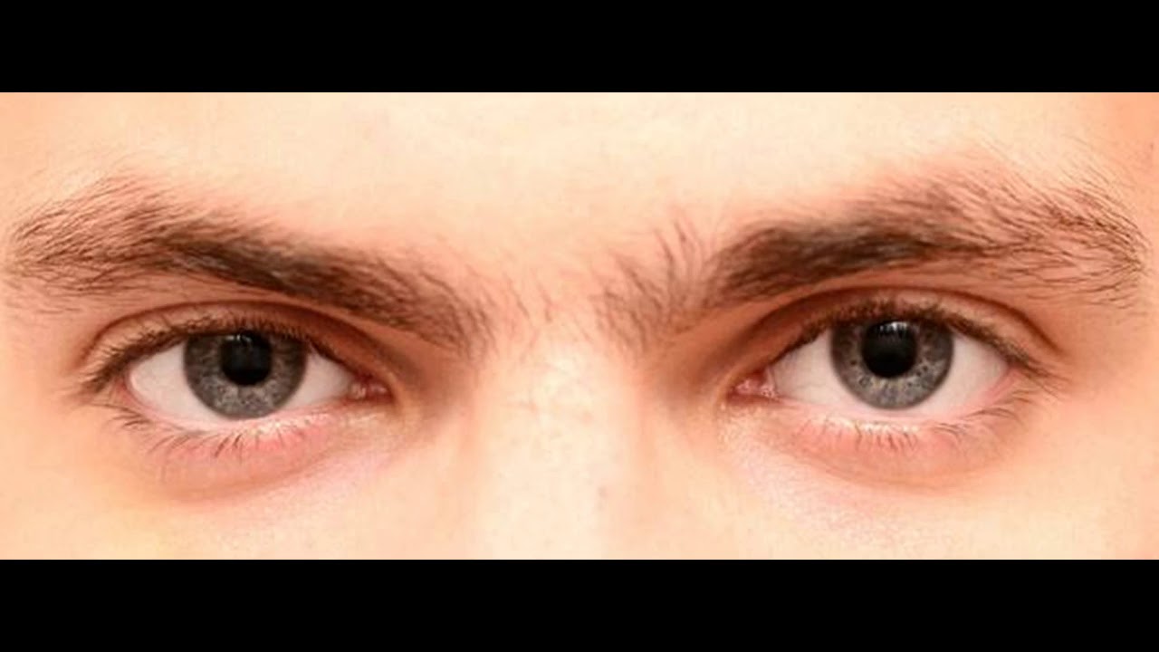 Домашний глаз прямой. Глаз человека. Карие глаза мужские. Глаза мужские. Два глаза.