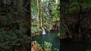 Visita Gratuíta. Están En Pontevedra.