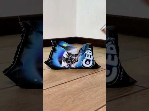 High heels vs gushy jelly snake