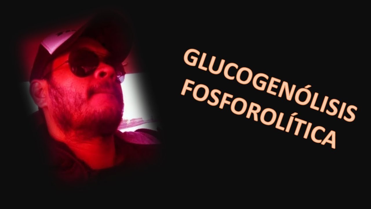 GLUCOGENÓLISIS | Profe Murillo